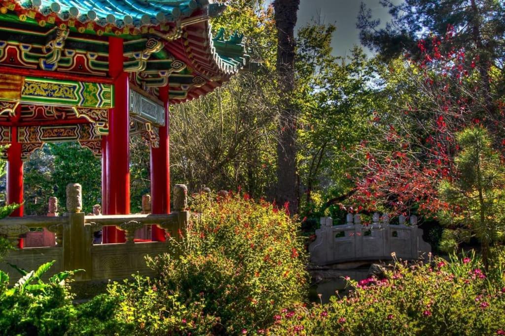 Golden Gate Park Sweet Home-2 Bedrooms San Francisco Exteriér fotografie